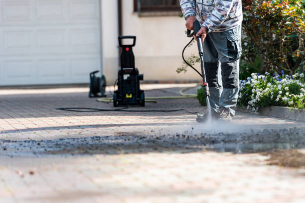Best Best Pressure Washing Companies  in Painesville, OH