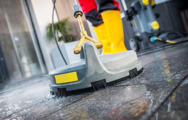 Best Pressure Washing Services Near Me  in Painesville, OH