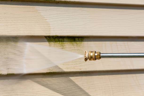 Best Affordable Power Washing  in Painesville, OH