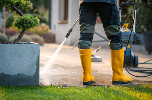 Best Concrete Pressure Washing  in Painesville, OH